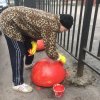 Субботник