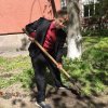 Цветы