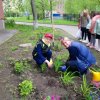 Цветы