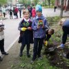 Цветы