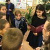 Музыкальная шкатулка