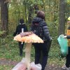 «Чистый лесопарк»