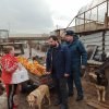 Сотрудники МЧС Красногвардейского района побывали в приютах для животных