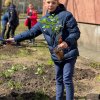 Сирень к 9 Мая