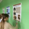 Новая выставка в новом интерьере