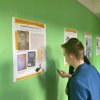Новая выставка в новом интерьере