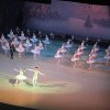 ВОЗОБНОВИЛ СВОЮ РАБОТУ ПРОЕКТ «ТЕАТРАЛЬНЫЙ УРОК В МАРИИНСКОМ»