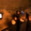 О ДОЖДЕВЫХ ЧЕРВЯХ И НЕ ТОЛЬКО