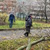 На субботнике в четверг