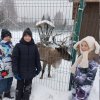 «ДОЛГО БУДЕТ КАРЕЛИЯ СНИТЬСЯ»