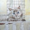 КОТЫ НА СТРАЖЕ ПОРЯДКА