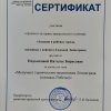 НА КОНФЕРЕНЦИИ В ДДЮТ «НА ЛЕНСКОЙ»
