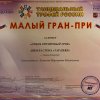 СТЕПИСТЫ-ПОБЕДИТЕЛИ
