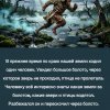 ТОФАЛАРЫ. ЗАТЕРЯННЫЕ В САЯНАХ