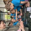 ДЕНЬ ПОГРУЖЕНИЯ