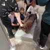 В «МИРЕ ВОДЫ»