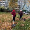 ДРУЖНАЯ КОМАНДА
