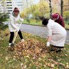 ДРУЖНАЯ КОМАНДА