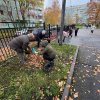 ДРУЖНАЯ КОМАНДА